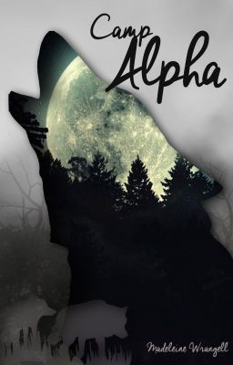 Camp Alpha cover