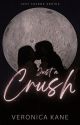 Just a Crush (Just Lovers, #1) by veronicakaneauthor